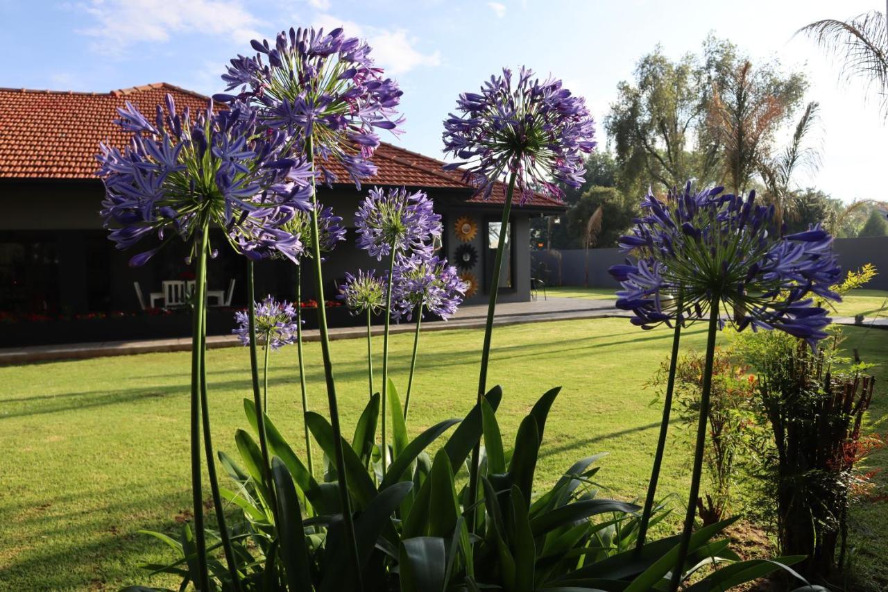 Villa Grande Luxury Accommodation Welkom Bagian luar foto